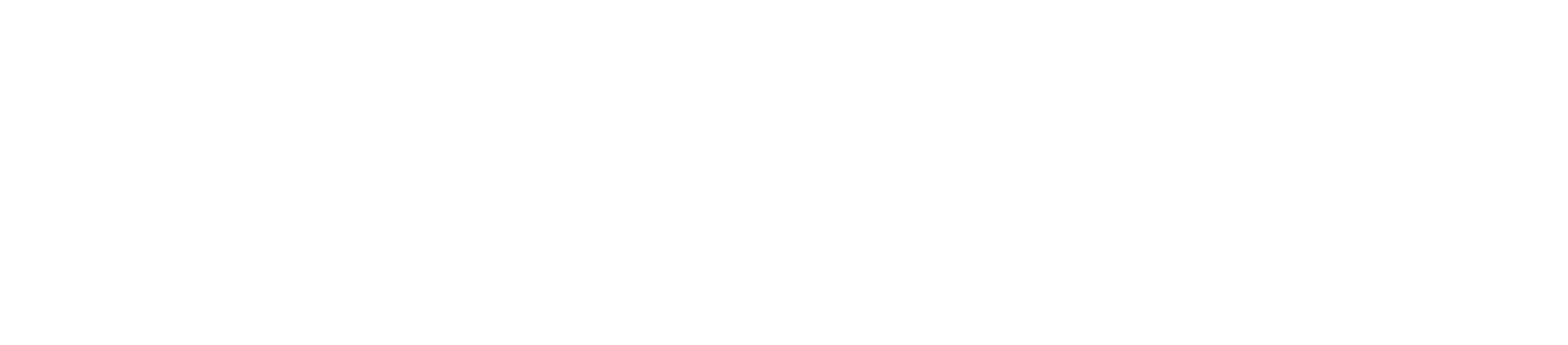 CIM Logo weiß